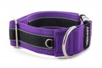 Collar Reflex Fuchsia Violet II - Detail of D-ring