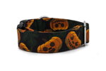Collar Pumpkin