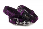 Collar Abstract Purple with a leash