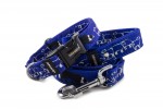 Collar Border Collie Life Blue with a leash