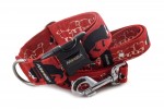 Collar Border Collie Life Red with a leash