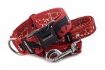 Halsband Border Collie Life Red mit der Leine