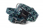 Collar Cyan Dots with a leash