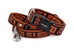 Leash Danger Orange with the collar