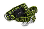 Leash Danger Yellow with the collar