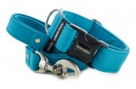 Collar Dark Cyan with a leash