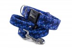 Collar Digital Blue with a leash