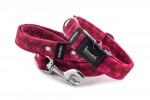 Leash Digital Pink with the collar