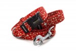 Collar Fishbone Red with a leash