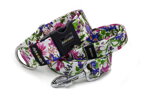 Collar Floral Fiesta with a leash