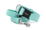 Collar Fresh Mint with a leash