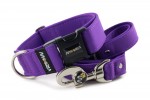Leash Fuchsia Violet with the collar