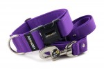 Collar Fuchsia Violet with a leash