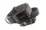 Collar Gray with a leash