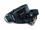Leash Hogweed Blue with the collar