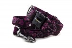 Halsband Hogweed Purple mit der Leine