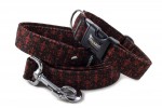 Collar Lilia Red with a leash
