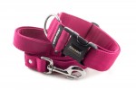 Collar Magenta with a leash