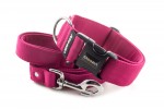 Halsband Magenta mit der Leine