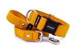 Collar Mustard Yellow with a leash