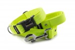 Collar Neon Yellow with a leash