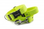 Leine Neon Yellow mit dem Halsband