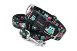 Leash Owl Love with the collar