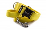Leash Pastel Yellow with the collar