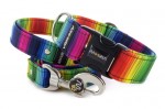 Leash Rainbow lines with the collar