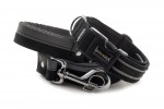 Collar Reflex Black II with a leash