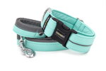 Leash Reflex Fresh Mint with the collar