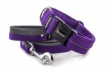 Collar Reflex Fuchsia Violet I with a leash