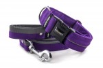 Halsband Reflex Fuchsia Violet I mit der Leine