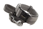 Leash Reflex Gray with the collar