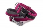 Collar Reflex Magenta II with a leash