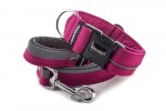 Collar Reflex Magenta I with a leash