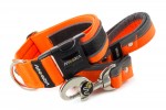 Collar Reflex Neon Orange II with a leash