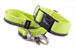 Leash Reflex Neon Yellow with the collar