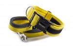 Collar Reflex Pastel Yellow II with a leash