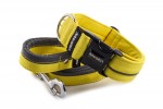 Collar Reflex Pastel Yellow I with a leash