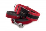 Collar Reflex Royal Red II with a leash