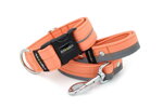 Leash Reflex Salmon with the collar