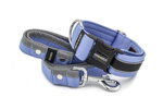 Collar Reflex Sky Blue II with a leash
