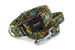Collar Retro Grid with a leash