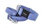 Collar Sky Blue with a leash