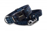 Collar Staffordshire Bull Terrier Blue with a leash