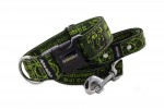 Leash Staffordshire Bull Terrier Green with the collar