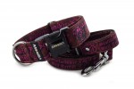 Leash Staffordshire Bull Terrier Pink with the collar