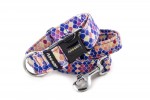 Collar Vitrage Blue with a leash