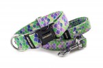 Leash Vitrage Green with the collar